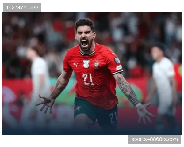 葡萄牙国家队轮换中场：内维斯的国家队角色